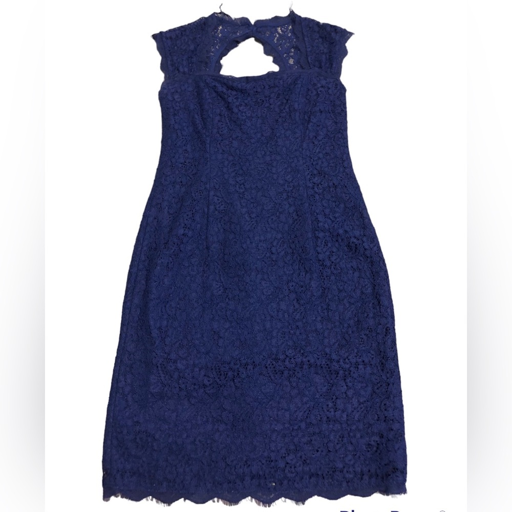 Adrianna Papell Open Back Lace Dress